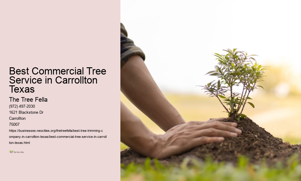 Best Commercial Tree Service in Carrollton Texas