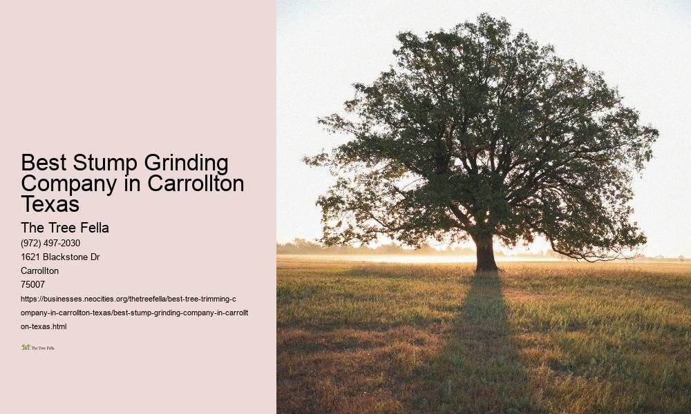 Best Stump Grinding Company in Carrollton Texas