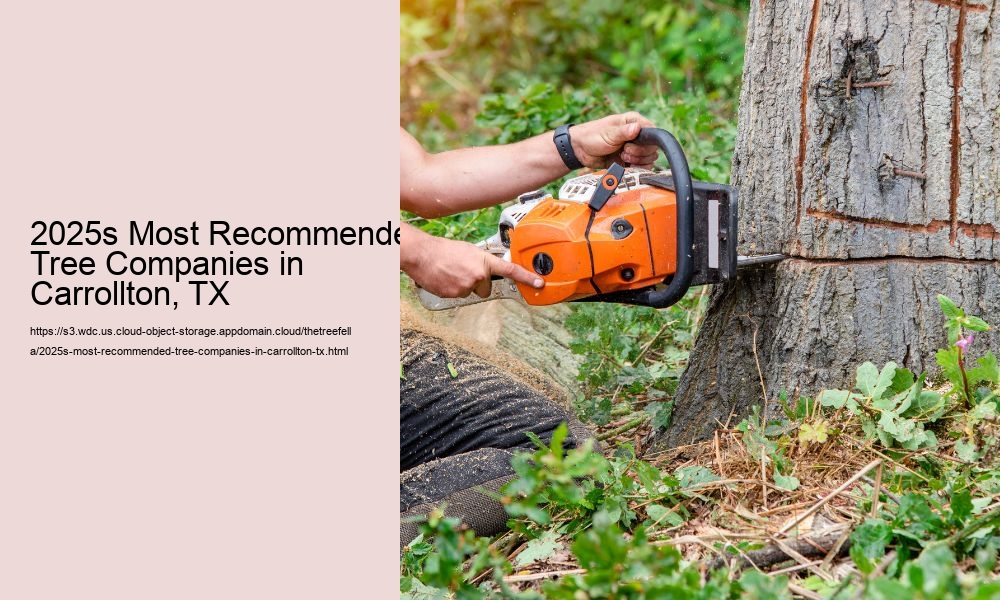 2025s Most Recommended Tree Companies in Carrollton, TX