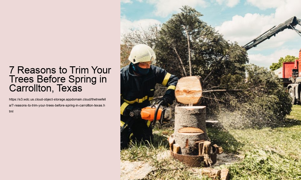 7 Reasons to Trim Your Trees Before Spring in Carrollton, Texas