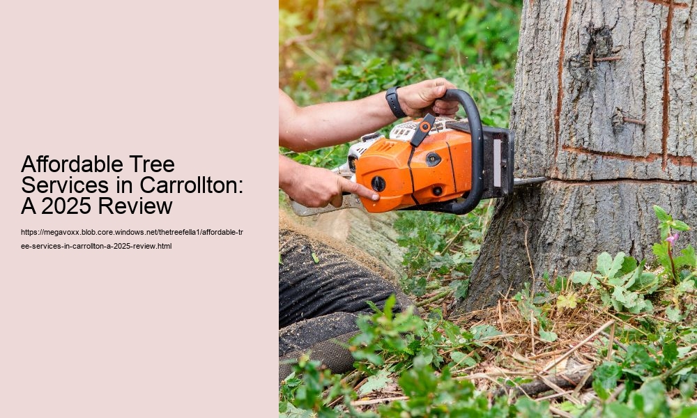 Affordable Tree Services in Carrollton: A 2025 Review