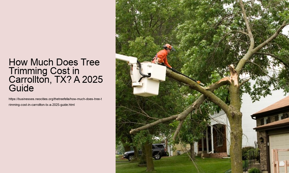 How Much Does Tree Trimming Cost in Carrollton, TX? A 2025 Guide