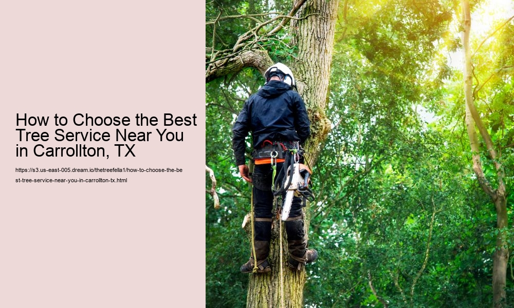 How to Choose the Best Tree Service Near You in Carrollton, TX
