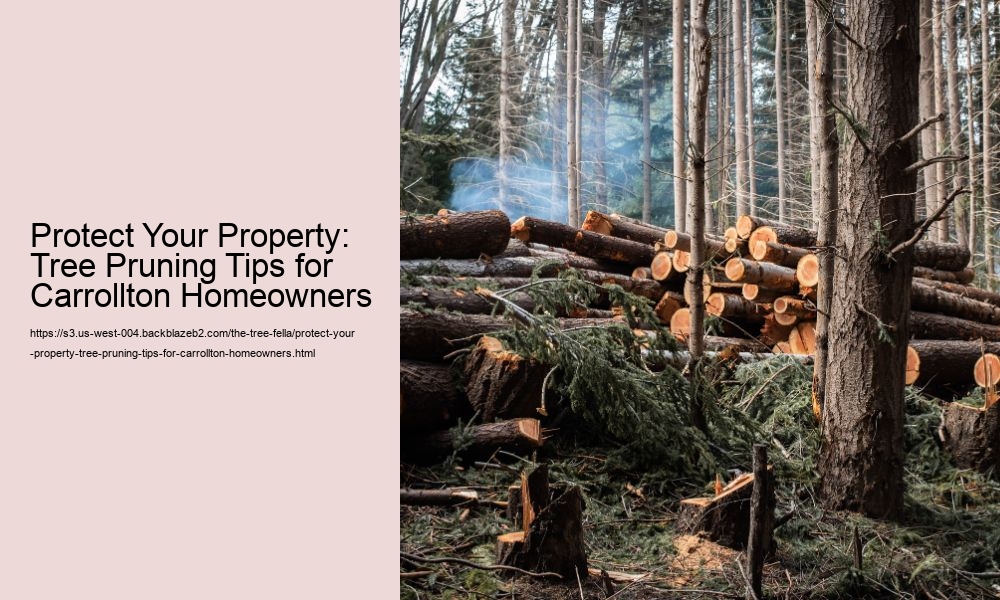 Protect Your Property: Tree Pruning Tips for Carrollton Homeowners