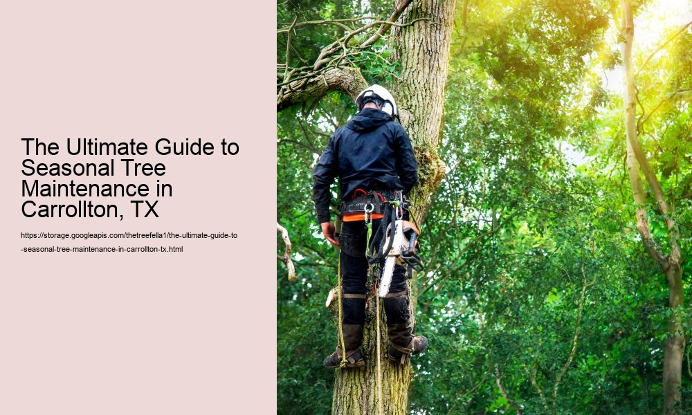The Ultimate Guide to Seasonal Tree Maintenance in Carrollton, TX