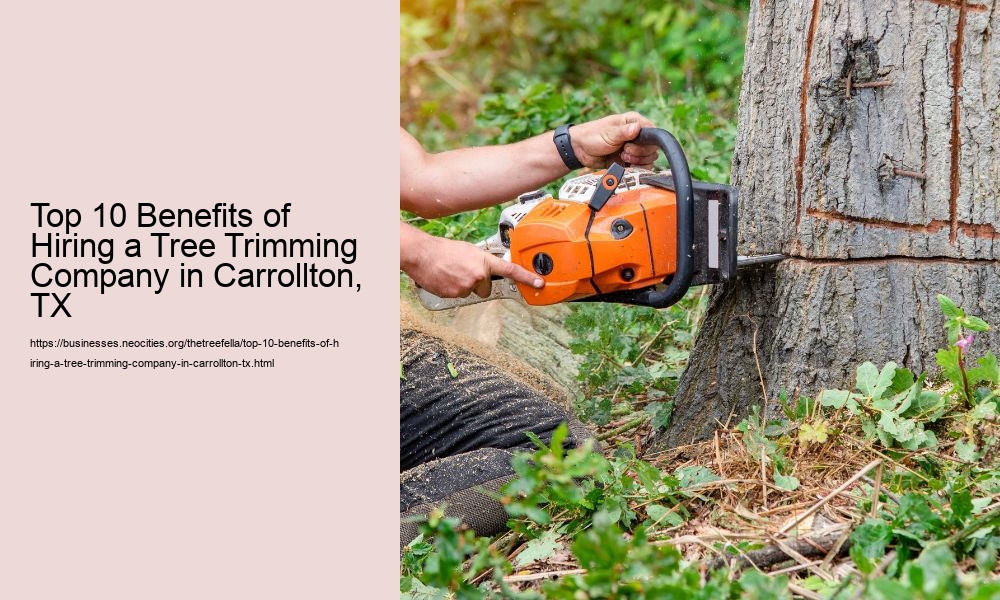 Top 10 Benefits of Hiring a Tree Trimming Company in Carrollton, TX