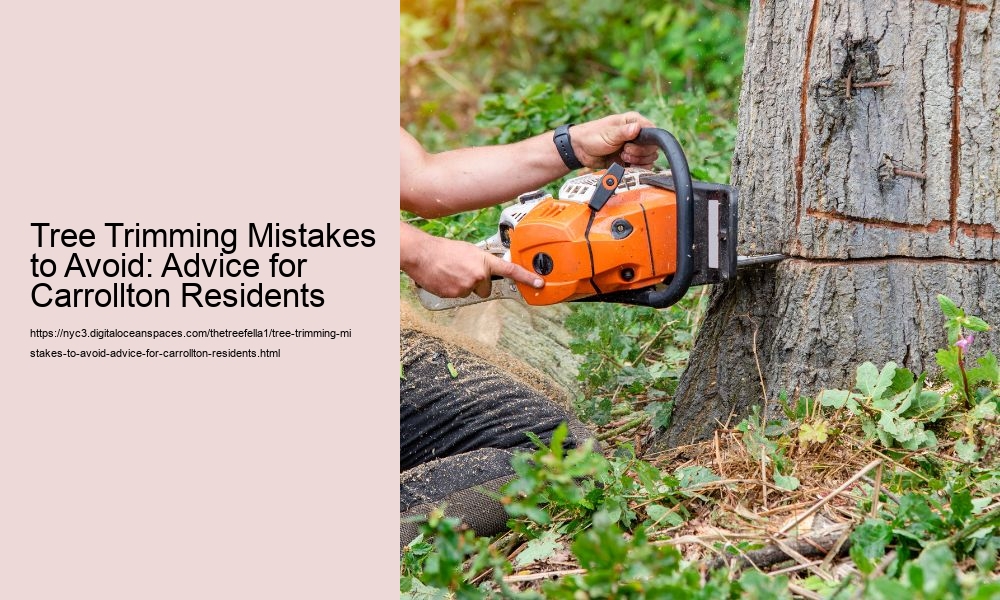 Tree Trimming Mistakes to Avoid: Advice for Carrollton Residents