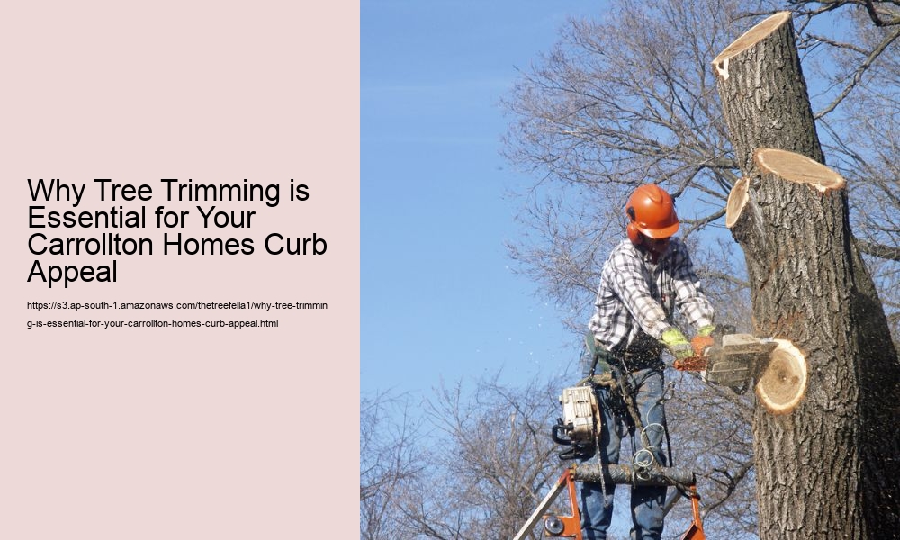 Why Tree Trimming is Essential for Your Carrollton Homes Curb Appeal